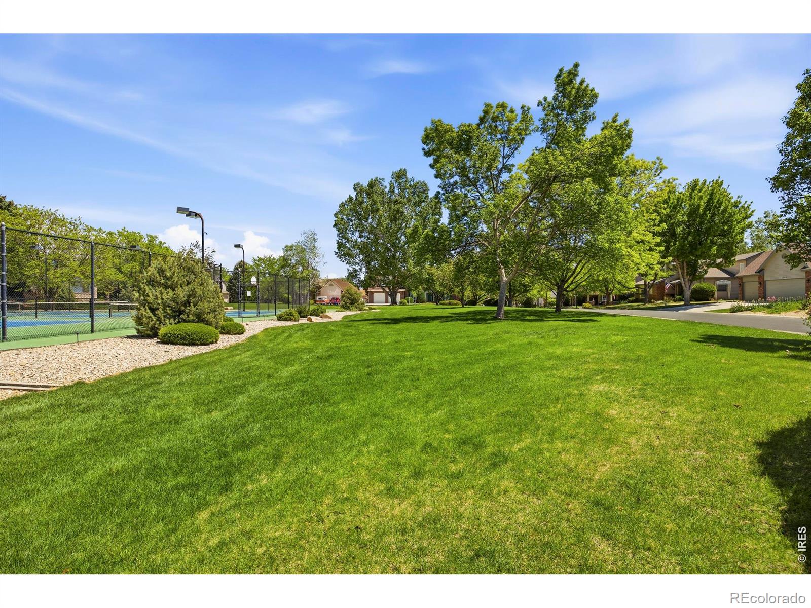 2591 Amber Drive Loveland CO 80537