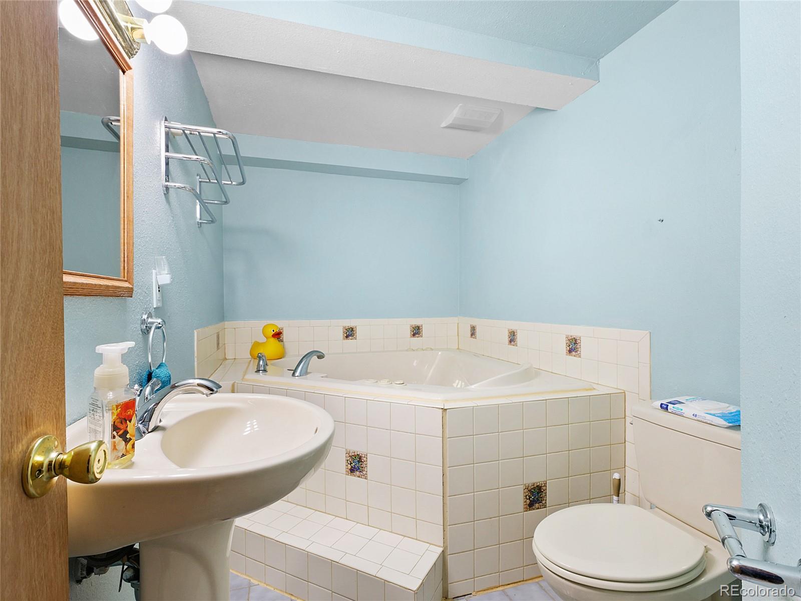 515 Lionsbrooke Lane Pine CO 80470
