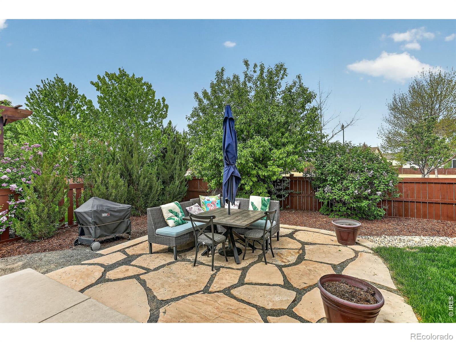 5901 Red Bridge Drive Timnath CO 80547
