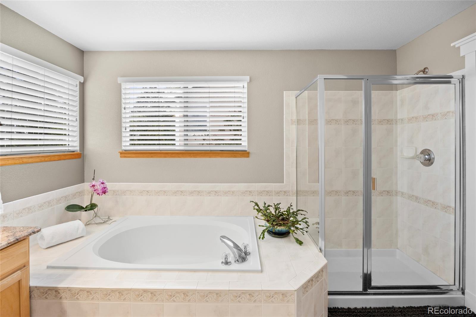 467 Rose Finch Circle Highlands Ranch CO 80129