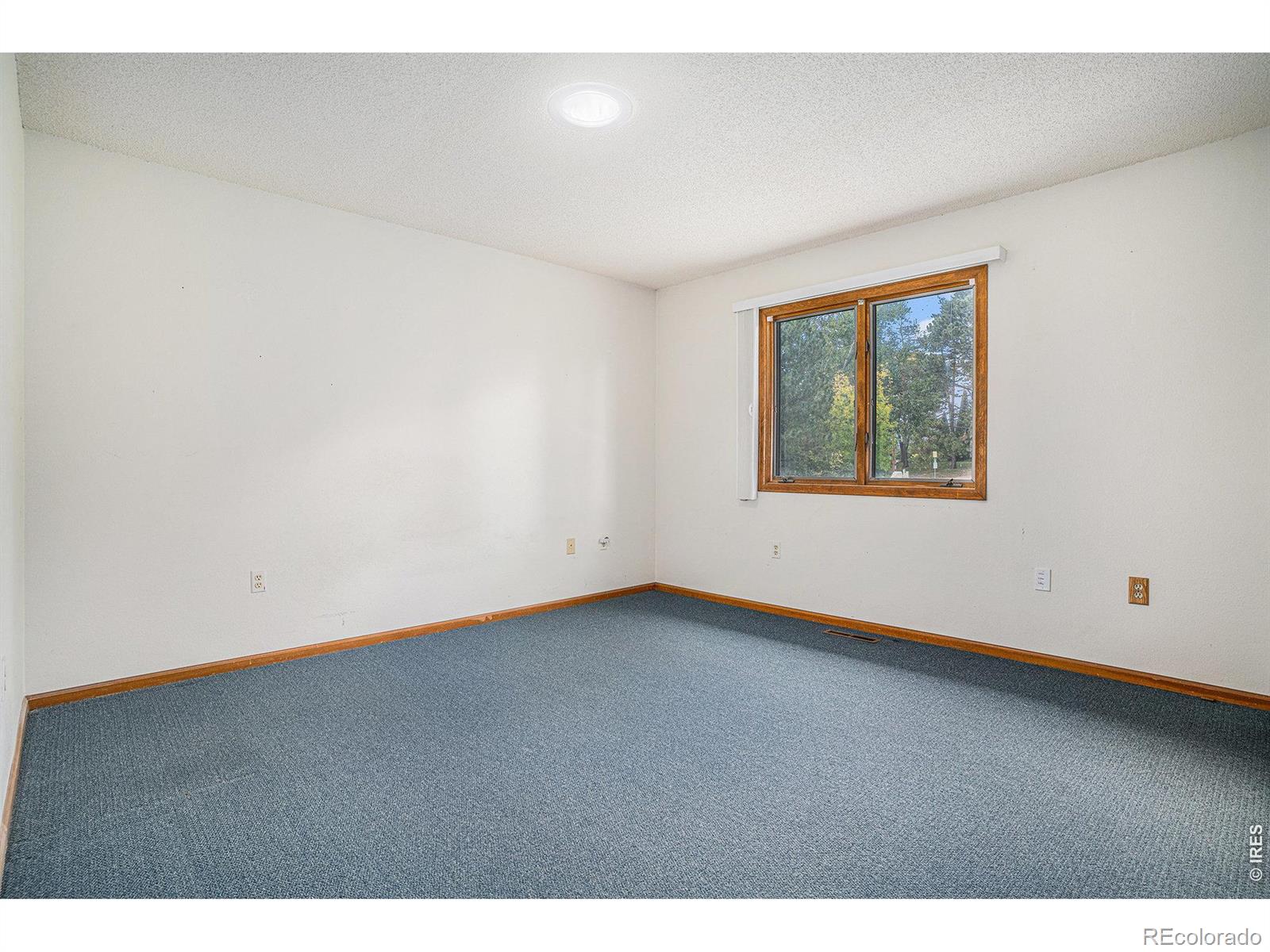 600 Collingswood Drive Fort Collins CO 80524