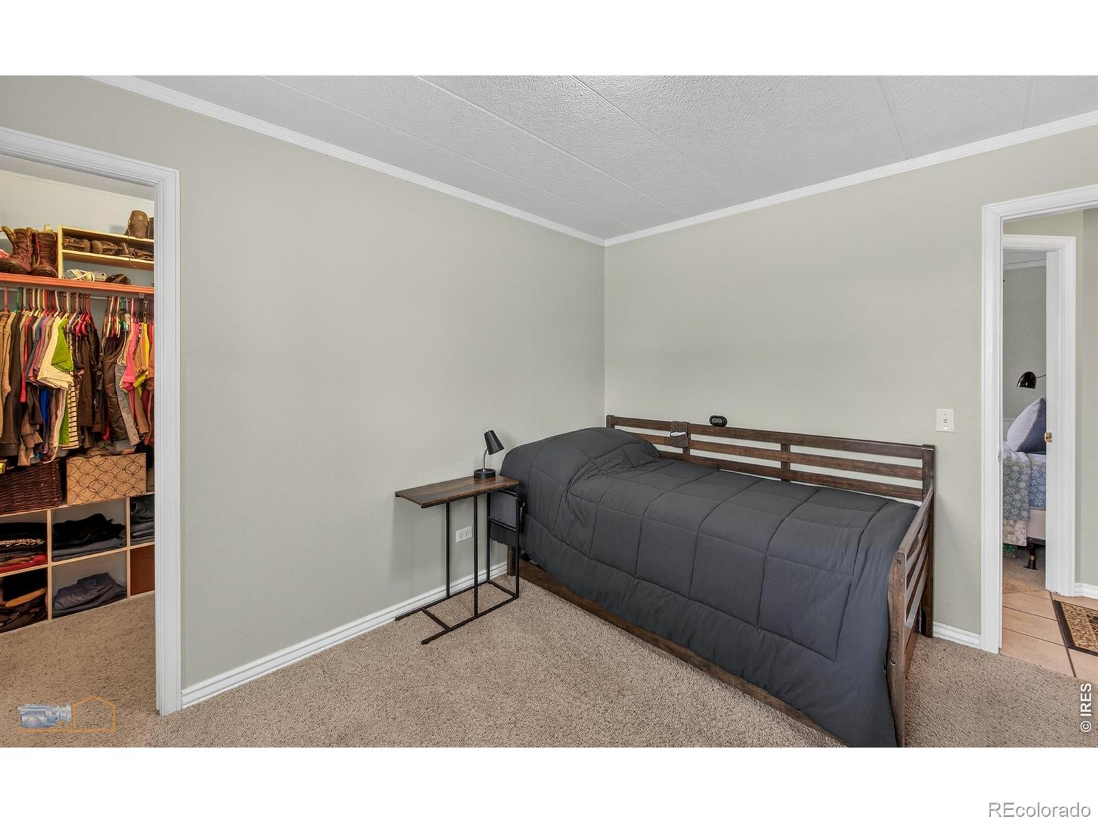 8111 3rd Street Wellington CO 80549