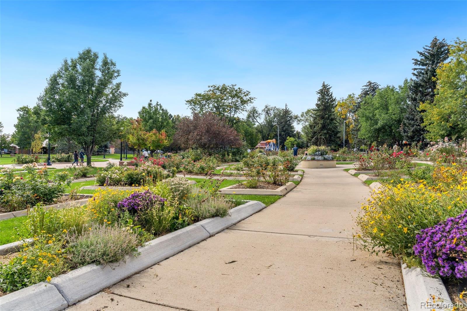 879 Glenarbor Circle Longmont CO 80504