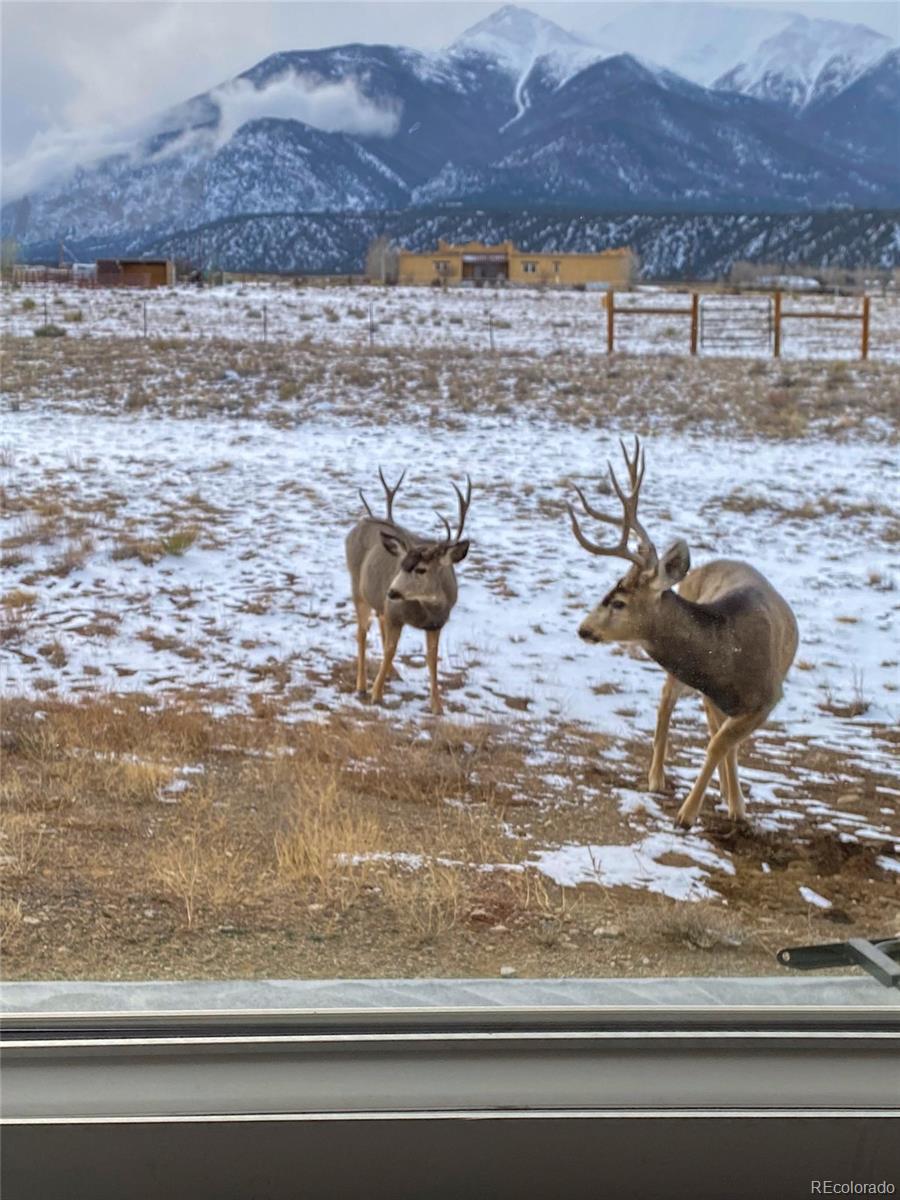 12910 County Road 162 Nathrop CO 81236