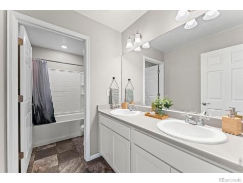 860 Camberly Drive Windsor CO 80550