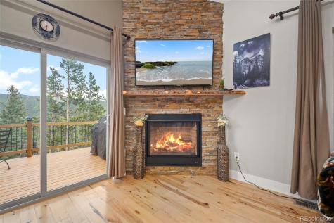 258 Upper Forest Road Idaho Springs CO 80452