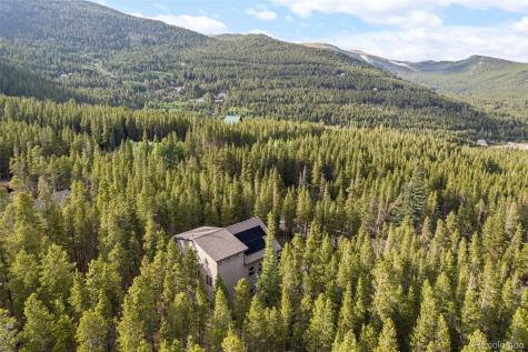 258 Upper Forest Road Idaho Springs CO 80452