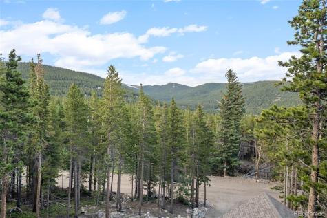 258 Upper Forest Road Idaho Springs CO 80452