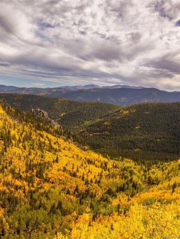 258 Upper Forest Road Idaho Springs CO 80452