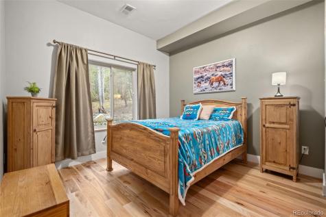 258 Upper Forest Road Idaho Springs CO 80452