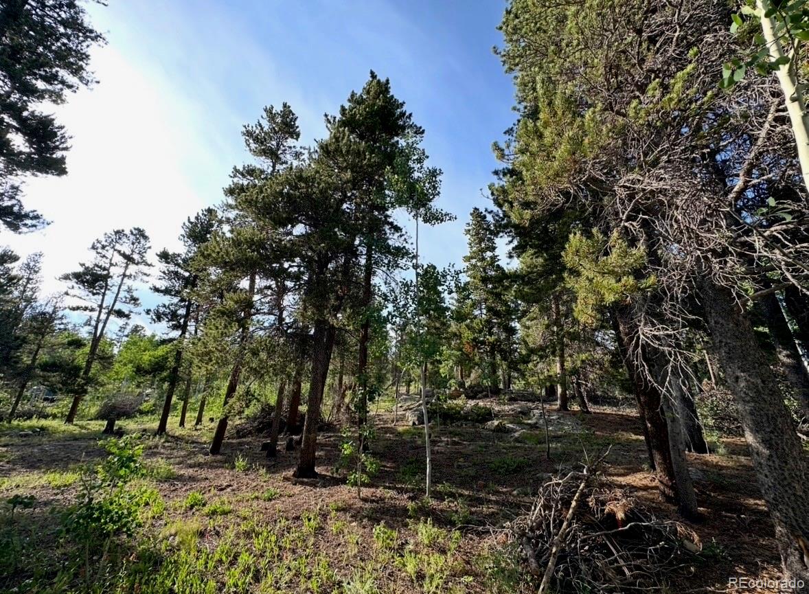 221 Timber Drive Black Hawk CO 80422