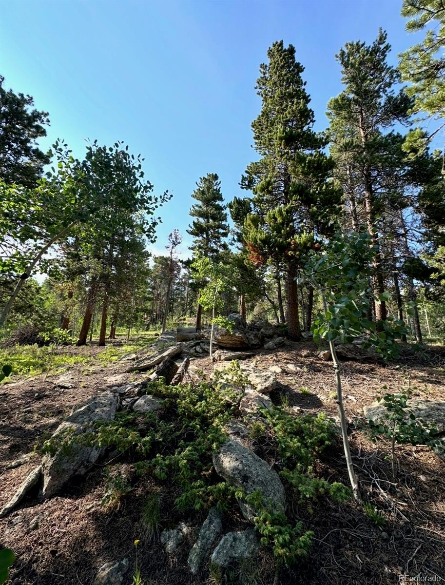 221 Timber Drive Black Hawk CO 80422