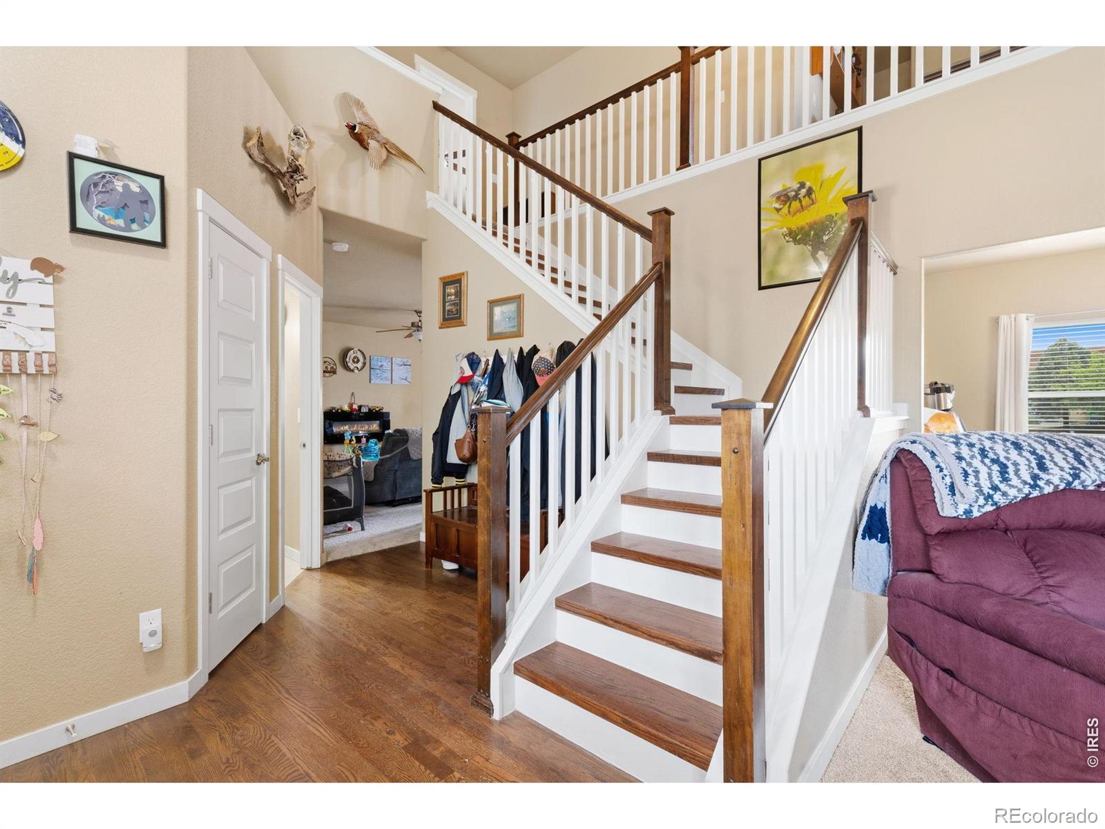 2701 Hydra Drive Loveland CO 80537