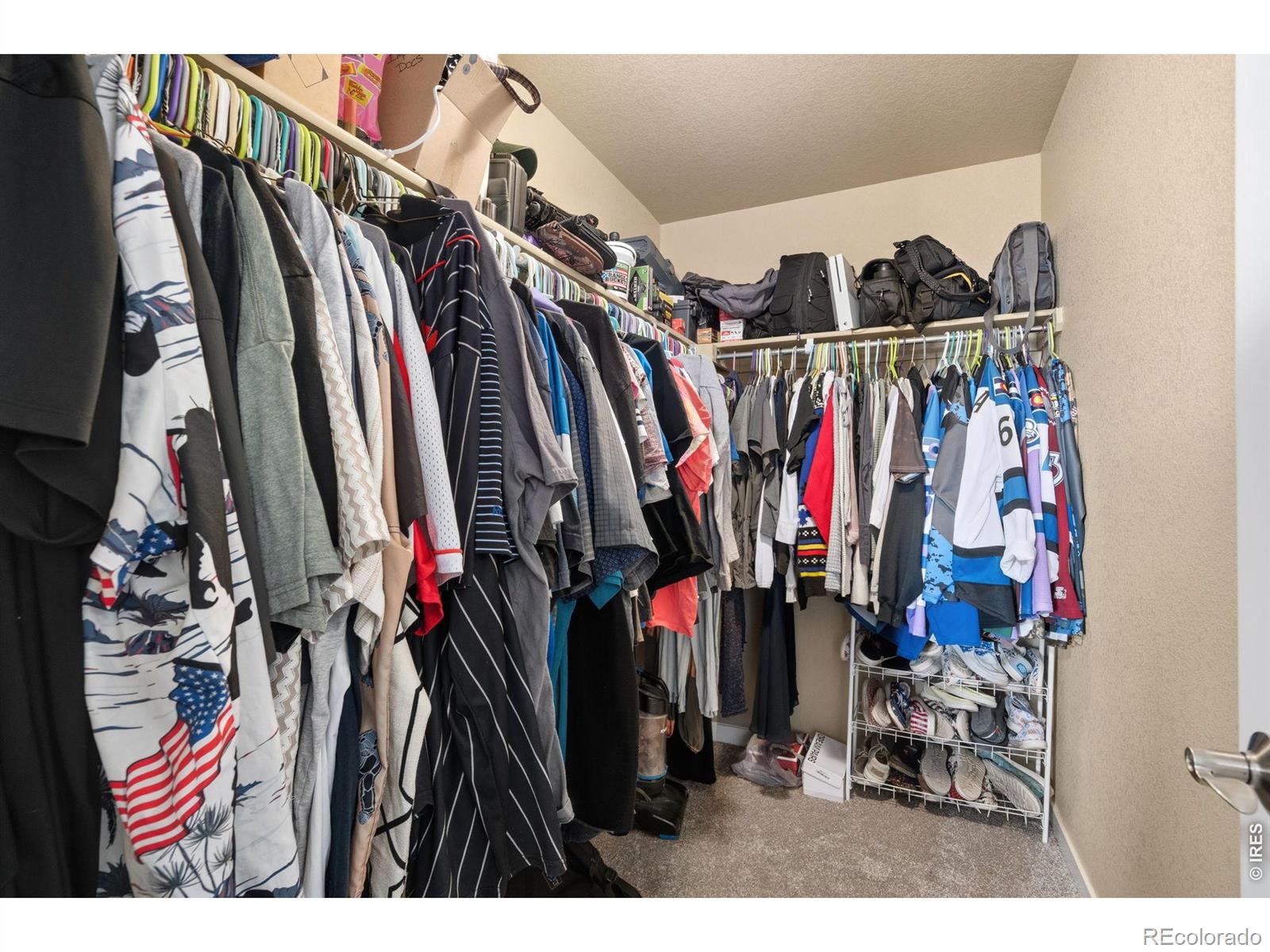 2701 Hydra Drive Loveland CO 80537