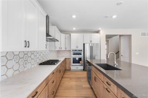 11110 Encantado Trail Lone Tree CO 80134