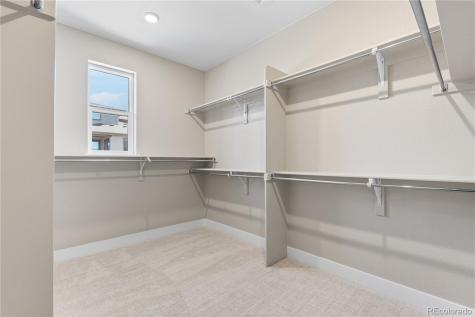 11110 Encantado Trail Lone Tree CO 80134