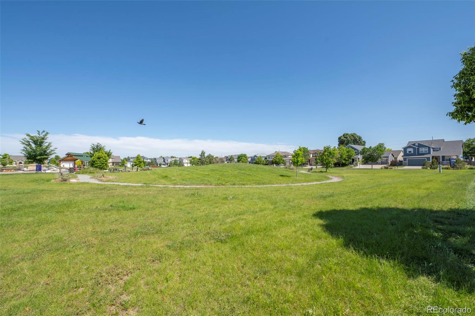 166 Chardon Avenue Brighton CO 80601