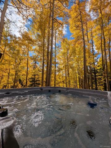 288 Roberts Road Alma CO 80420