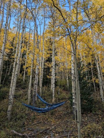 288 Roberts Road Alma CO 80420