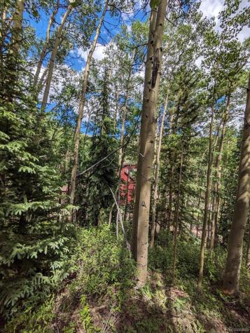 288 Roberts Road Alma CO 80420