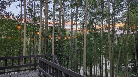 288 Roberts Road Alma CO 80420