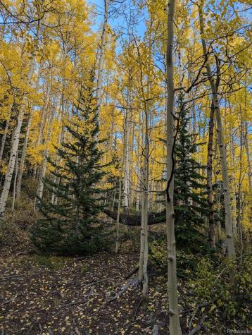 288 Roberts Road Alma CO 80420