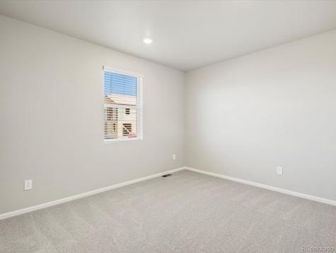 1625 Yampa River Drive Windsor CO 80550