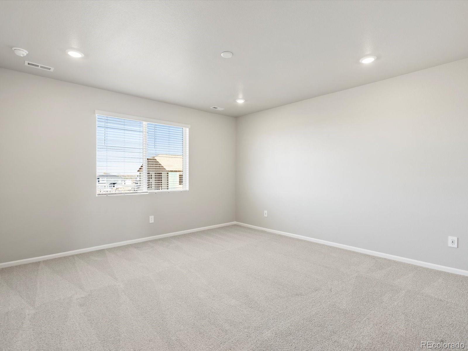 1625 Yampa River Drive Windsor CO 80550