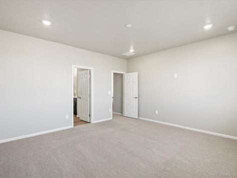 1625 Yampa River Drive Windsor CO 80550