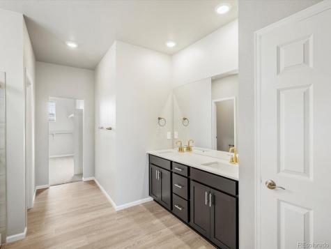 1625 Yampa River Drive Windsor CO 80550