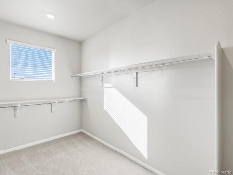 1625 Yampa River Drive Windsor CO 80550
