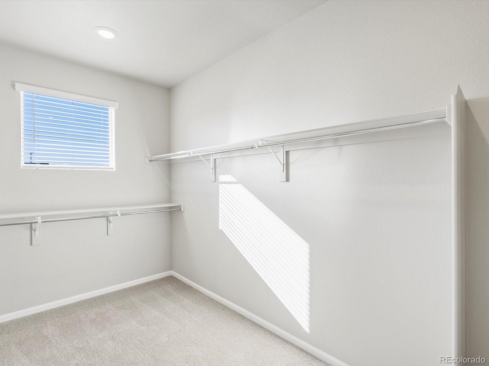 1625 Yampa River Drive Windsor CO 80550