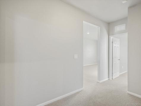 1625 Yampa River Drive Windsor CO 80550