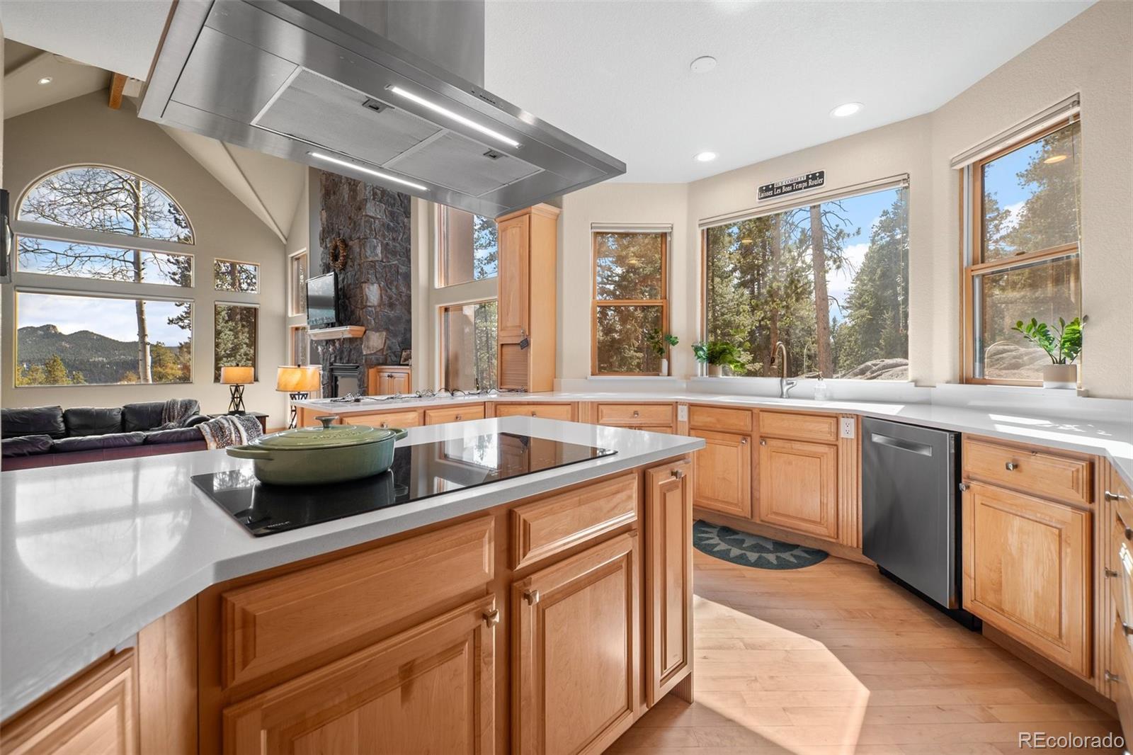 11421 Belle Meade Drive Conifer CO 80433