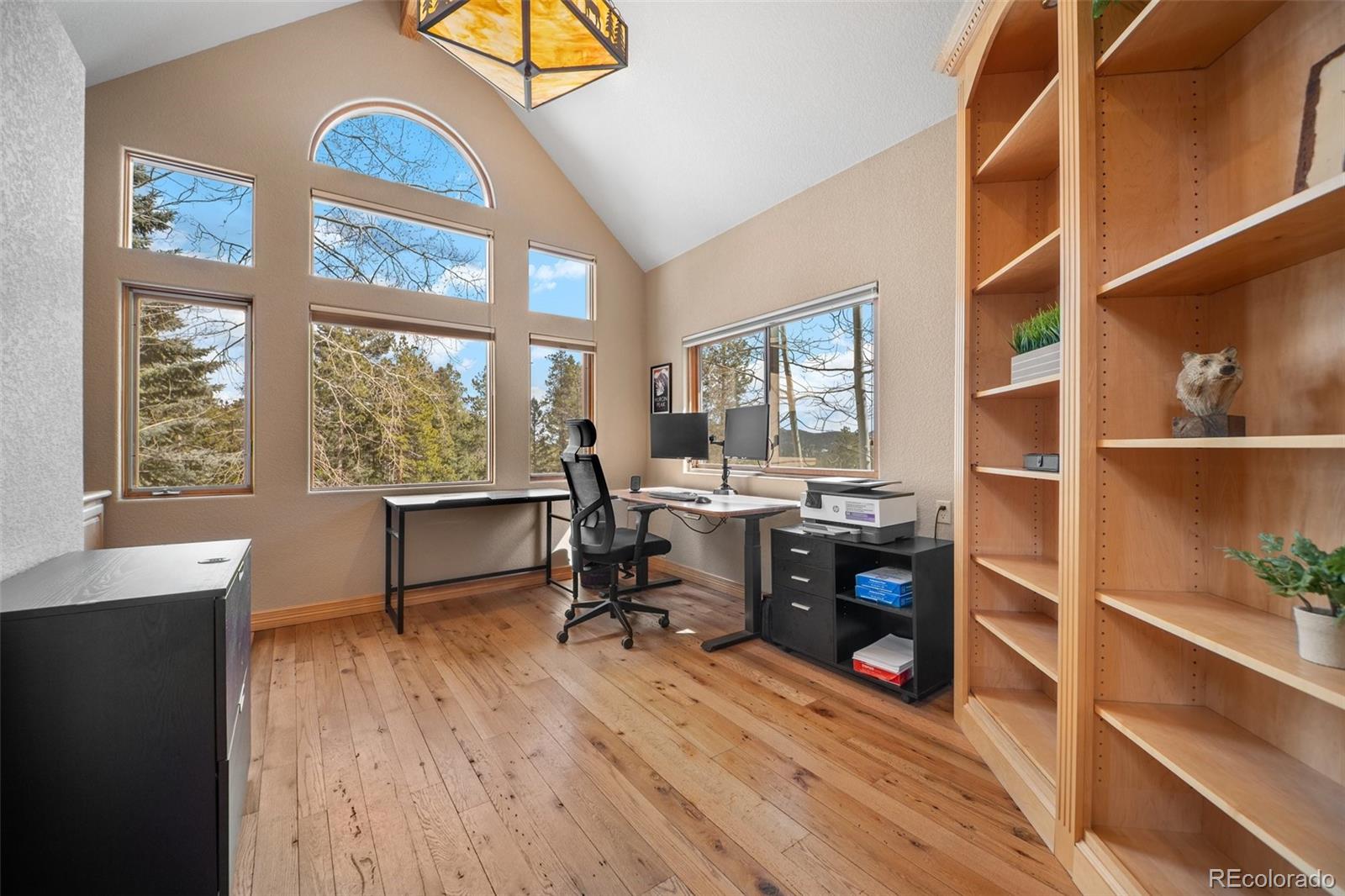 11421 Belle Meade Drive Conifer CO 80433