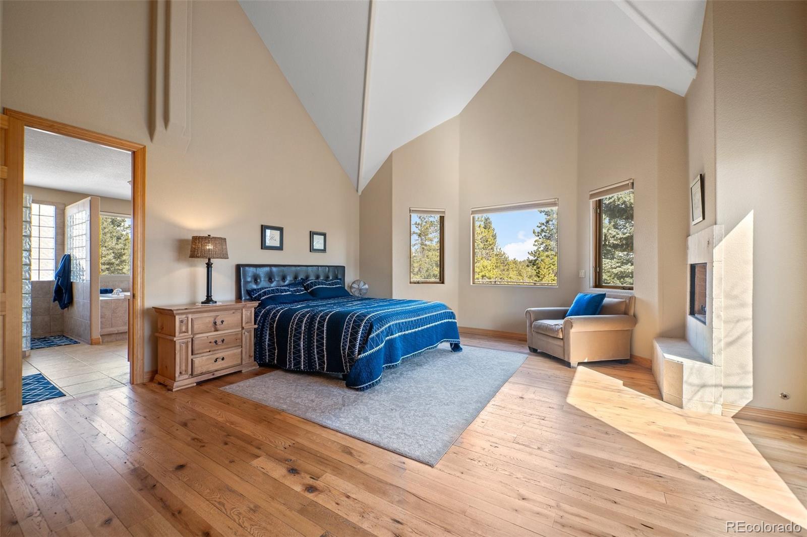 11421 Belle Meade Drive Conifer CO 80433