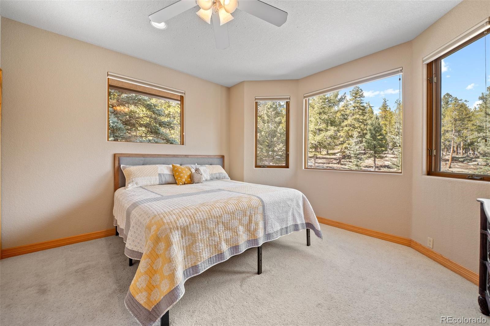 11421 Belle Meade Drive Conifer CO 80433
