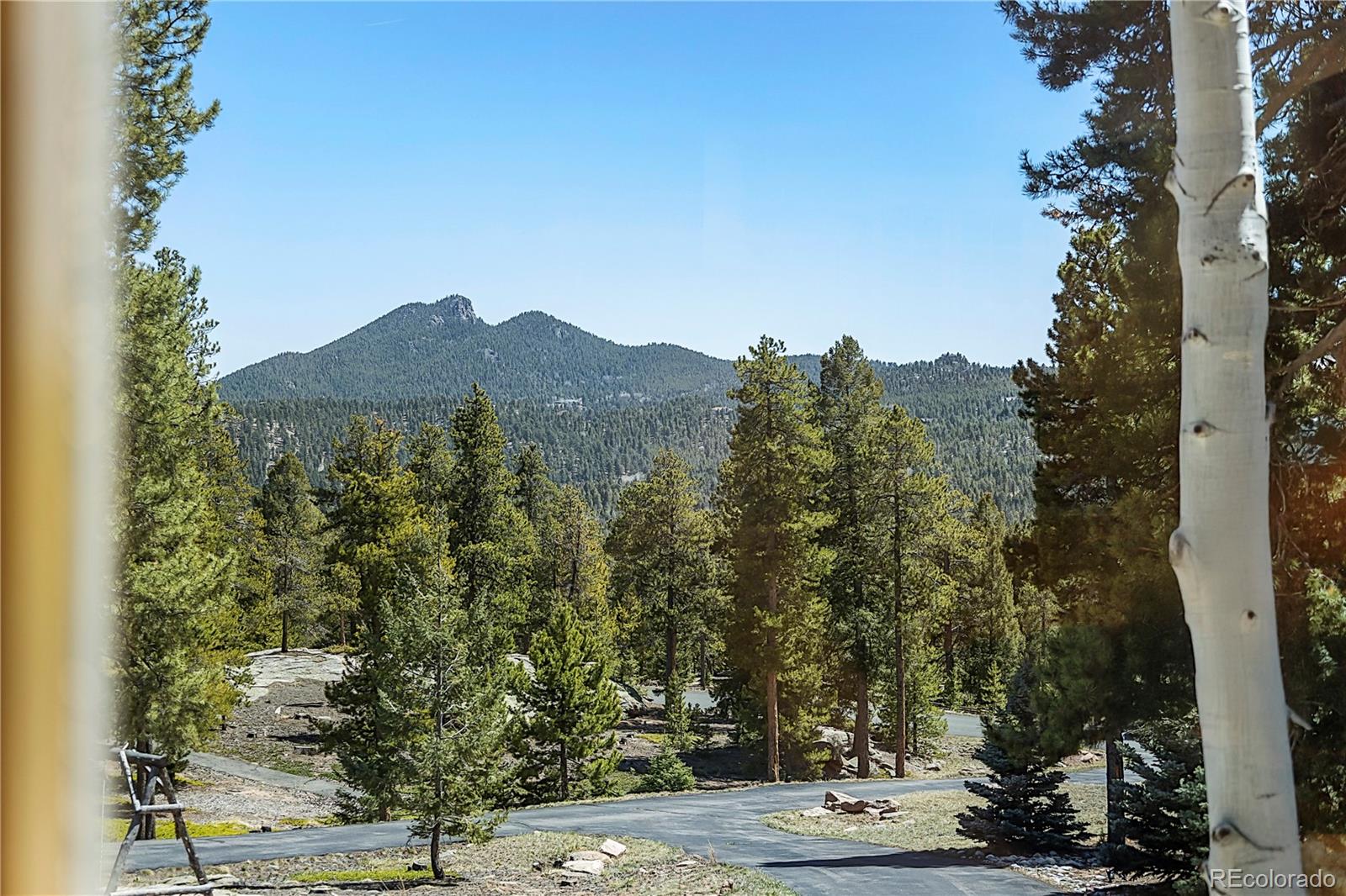 11421 Belle Meade Drive Conifer CO 80433