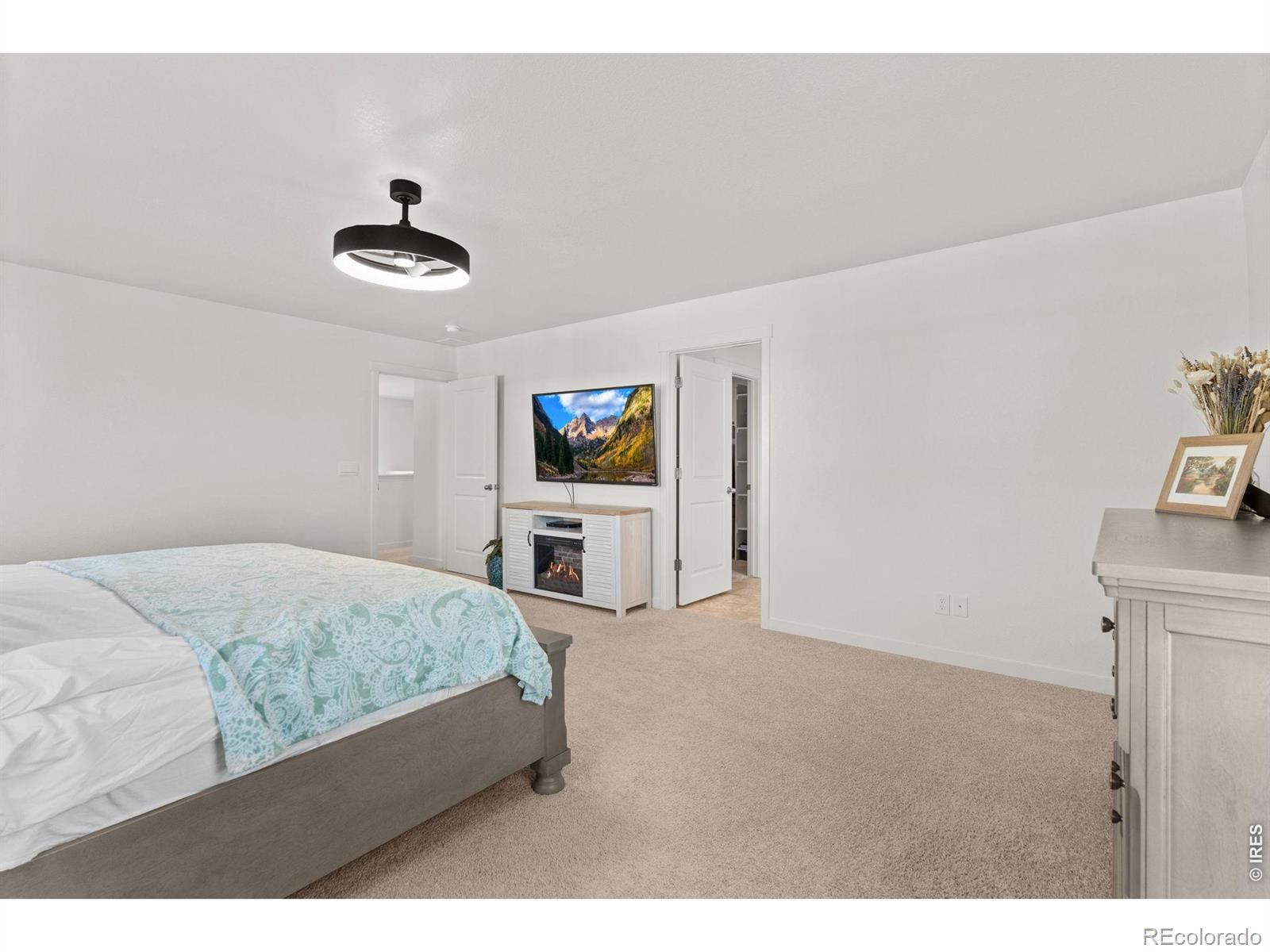 6402 Coralbell Street Wellington CO 80549