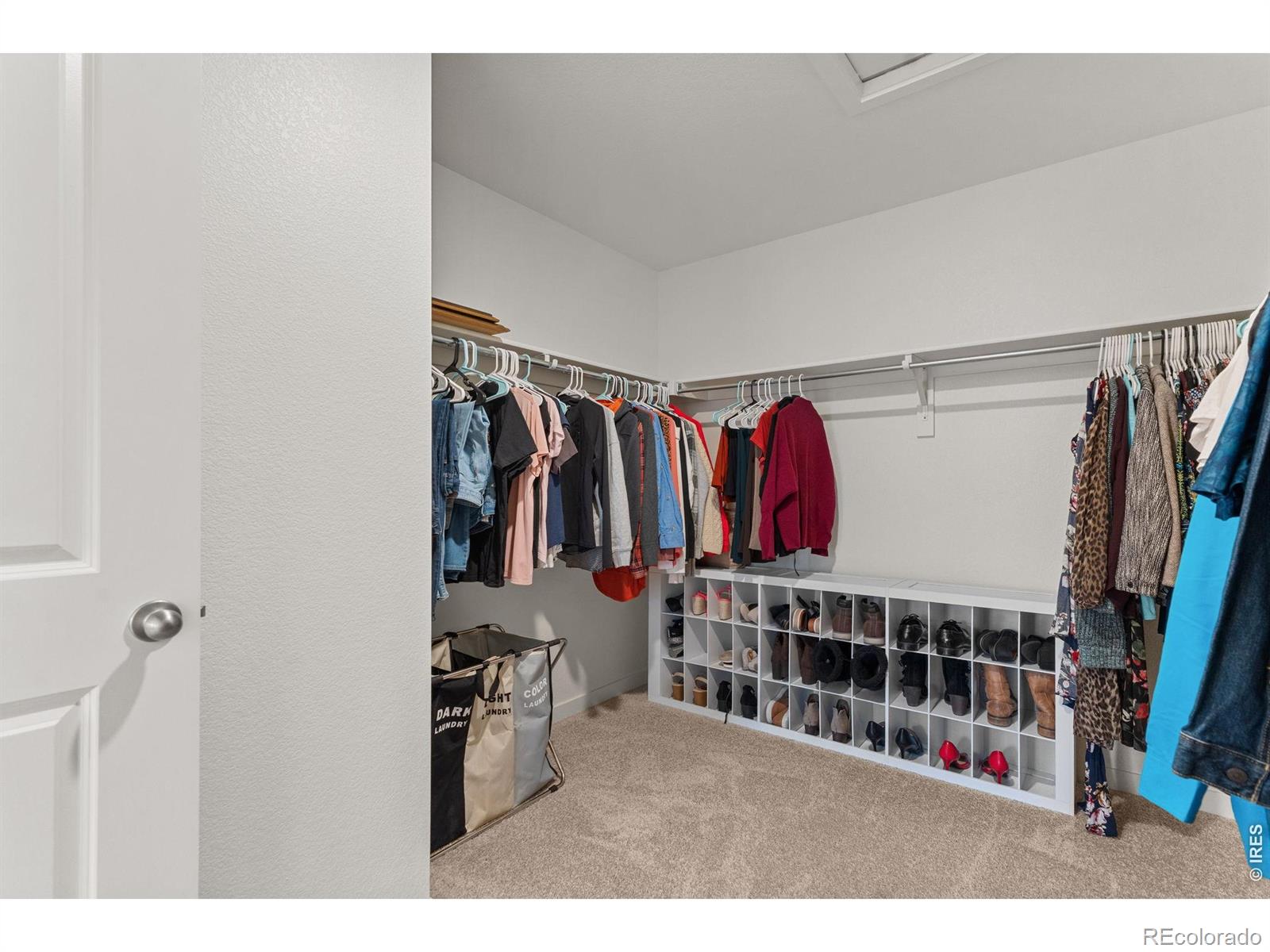 6402 Coralbell Street Wellington CO 80549