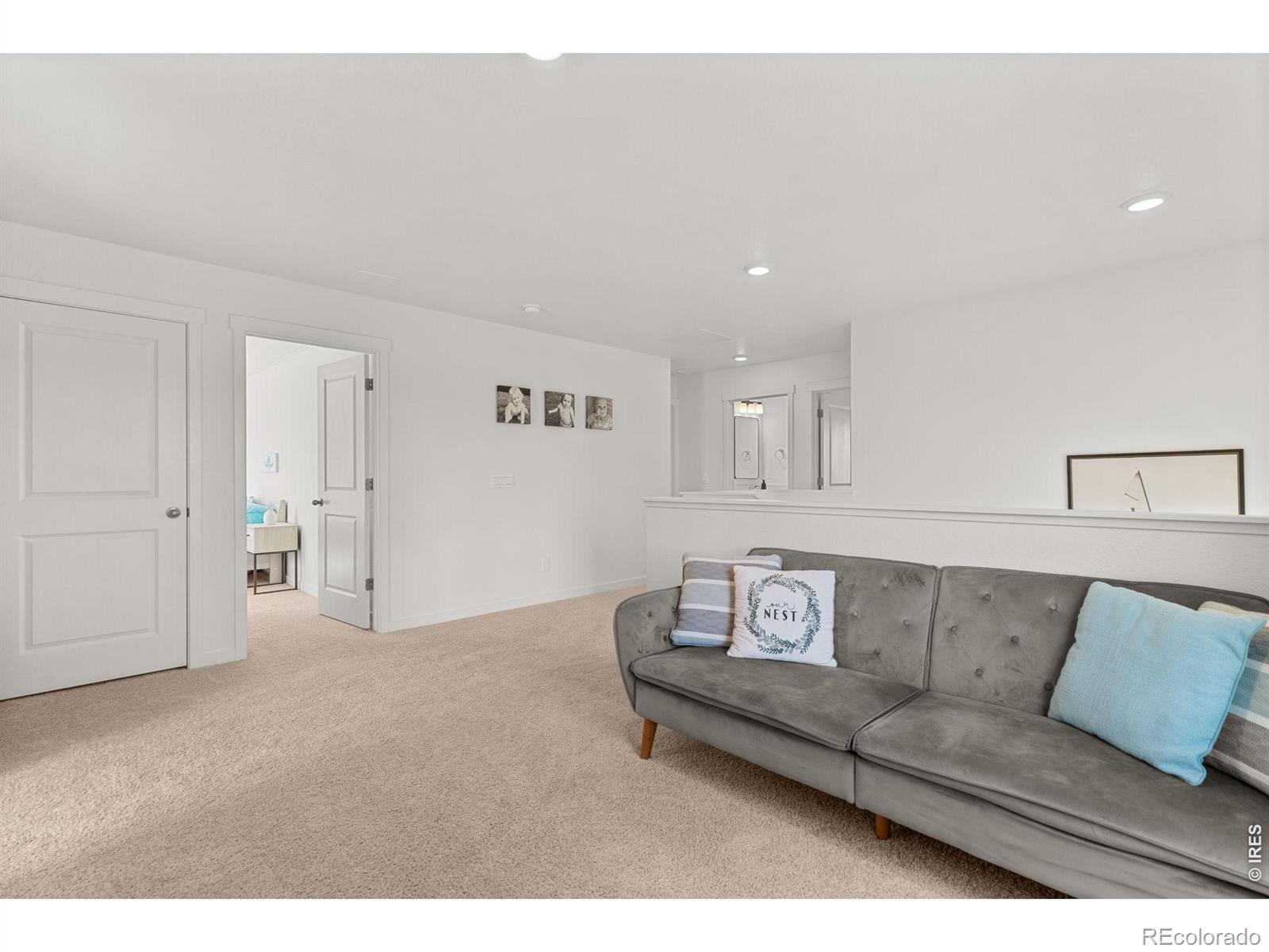 6402 Coralbell Street Wellington CO 80549