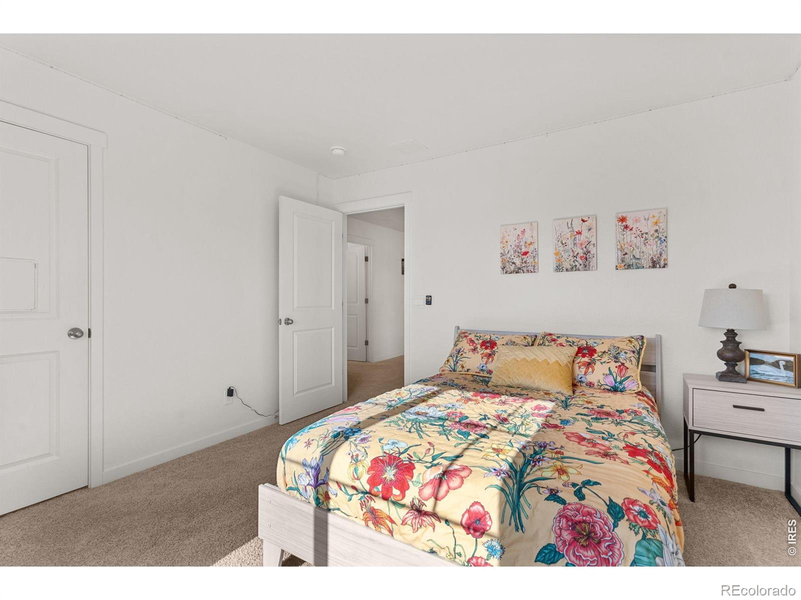 6402 Coralbell Street Wellington CO 80549