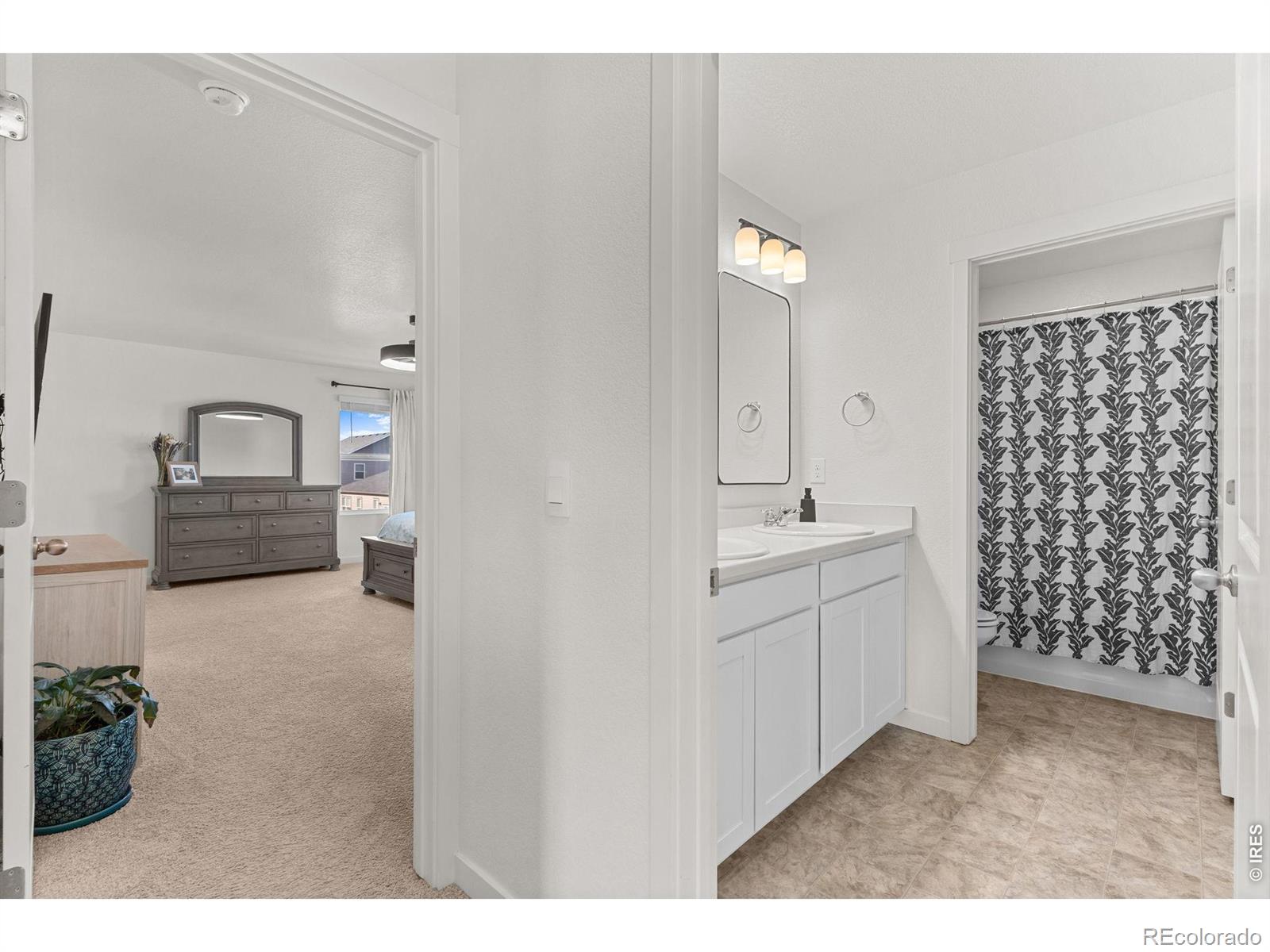 6402 Coralbell Street Wellington CO 80549