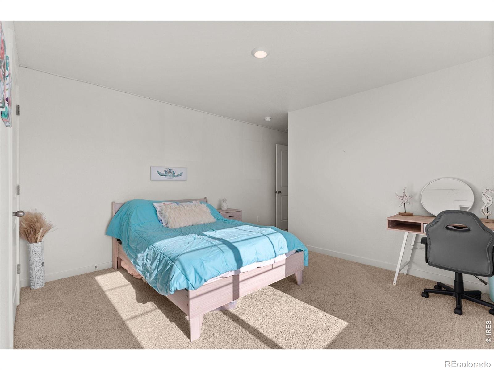 6402 Coralbell Street Wellington CO 80549