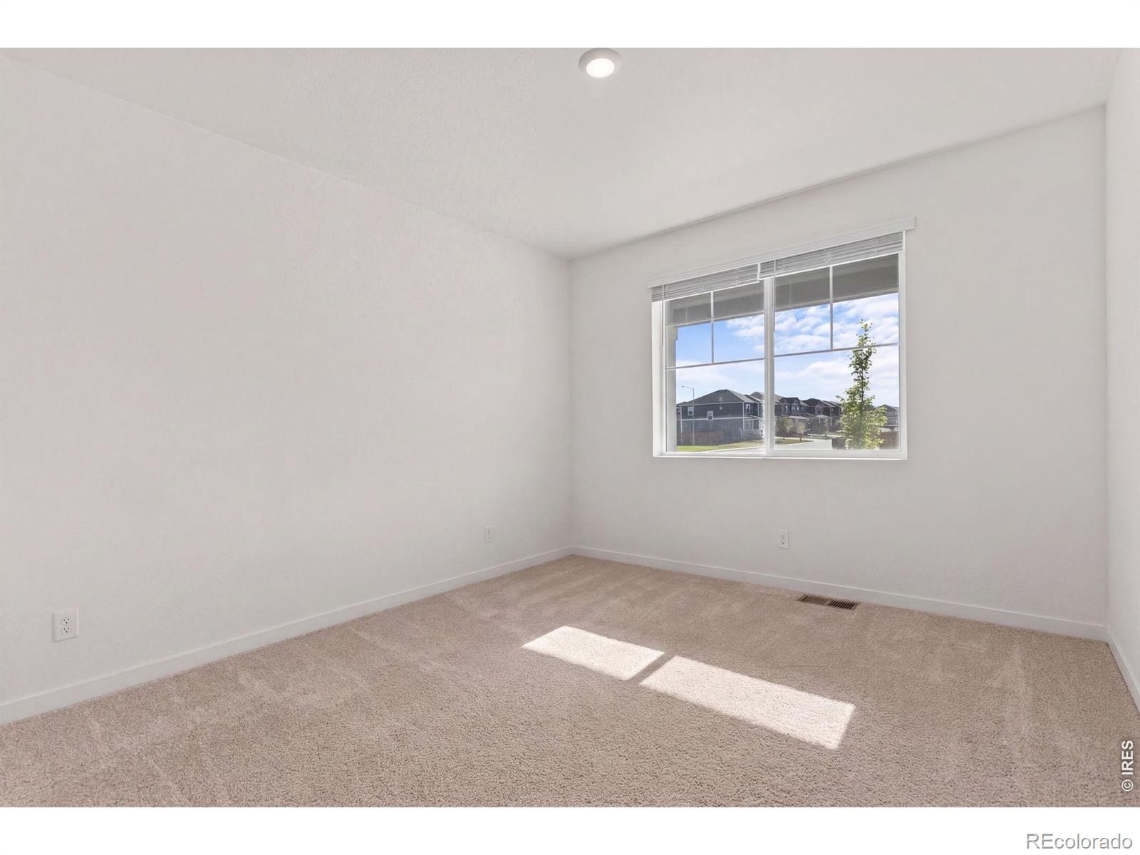 6402 Coralbell Street Wellington CO 80549