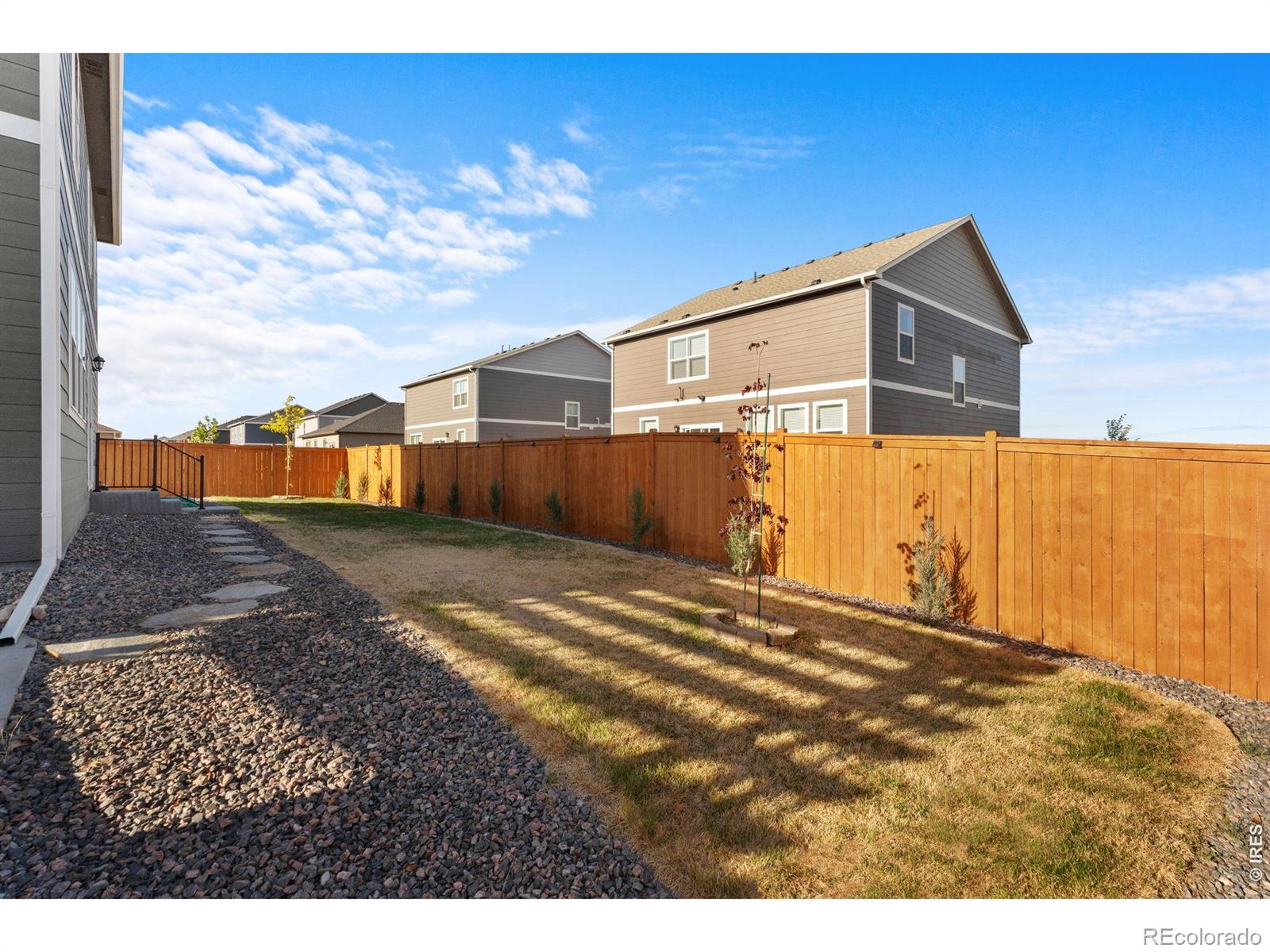 6402 Coralbell Street Wellington CO 80549