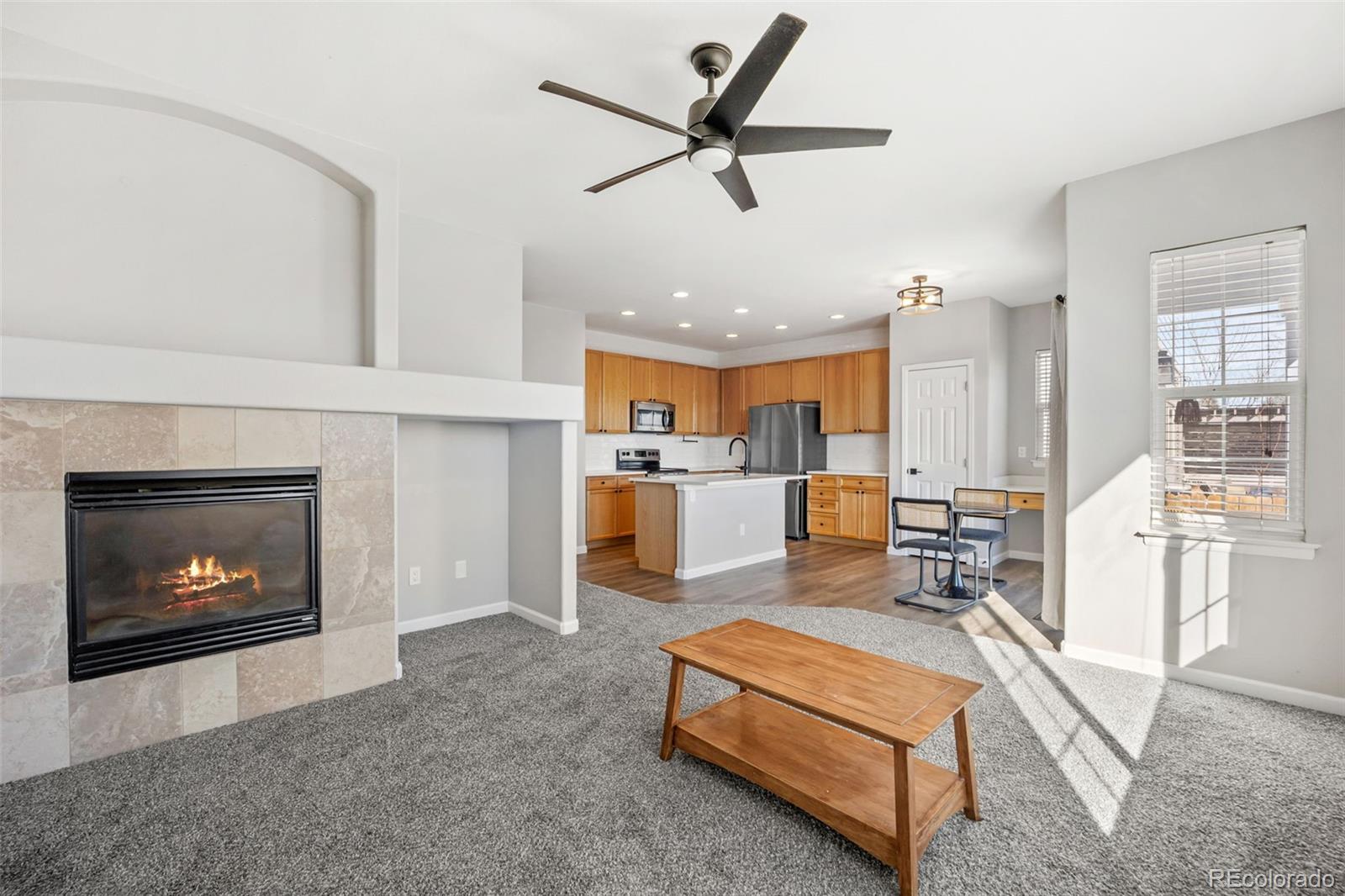 164 Apache Plume Street Brighton CO 80601