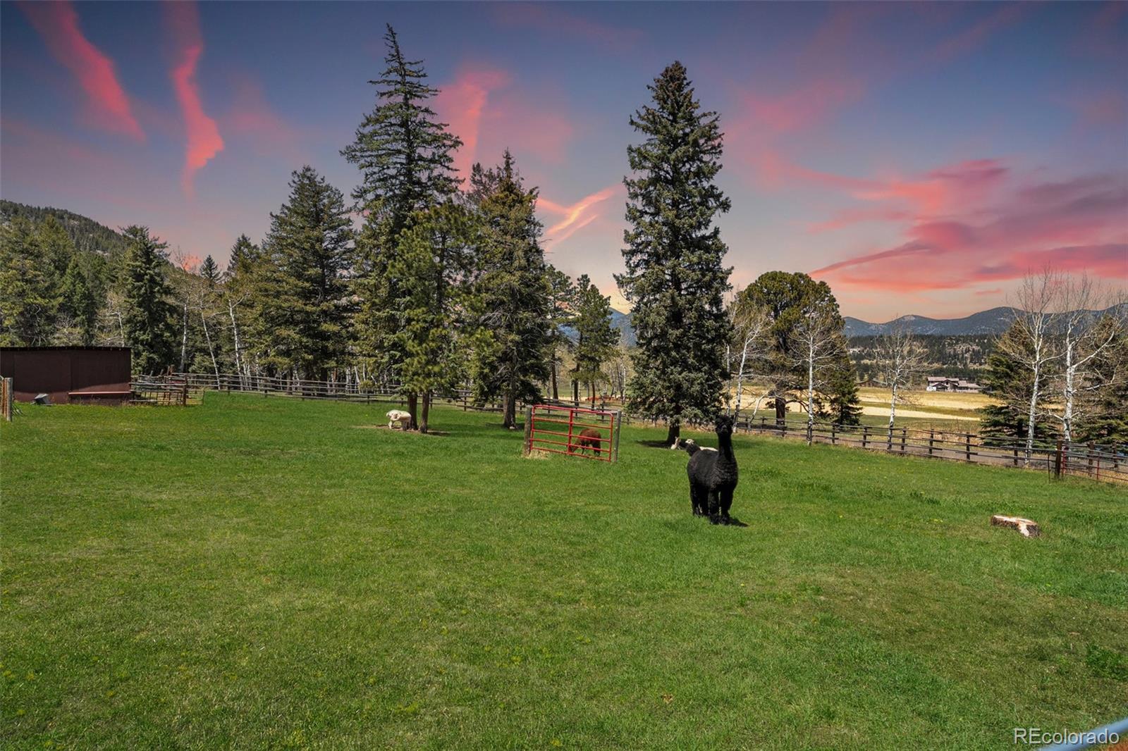32928 Bluebell Circle Evergreen CO 80439