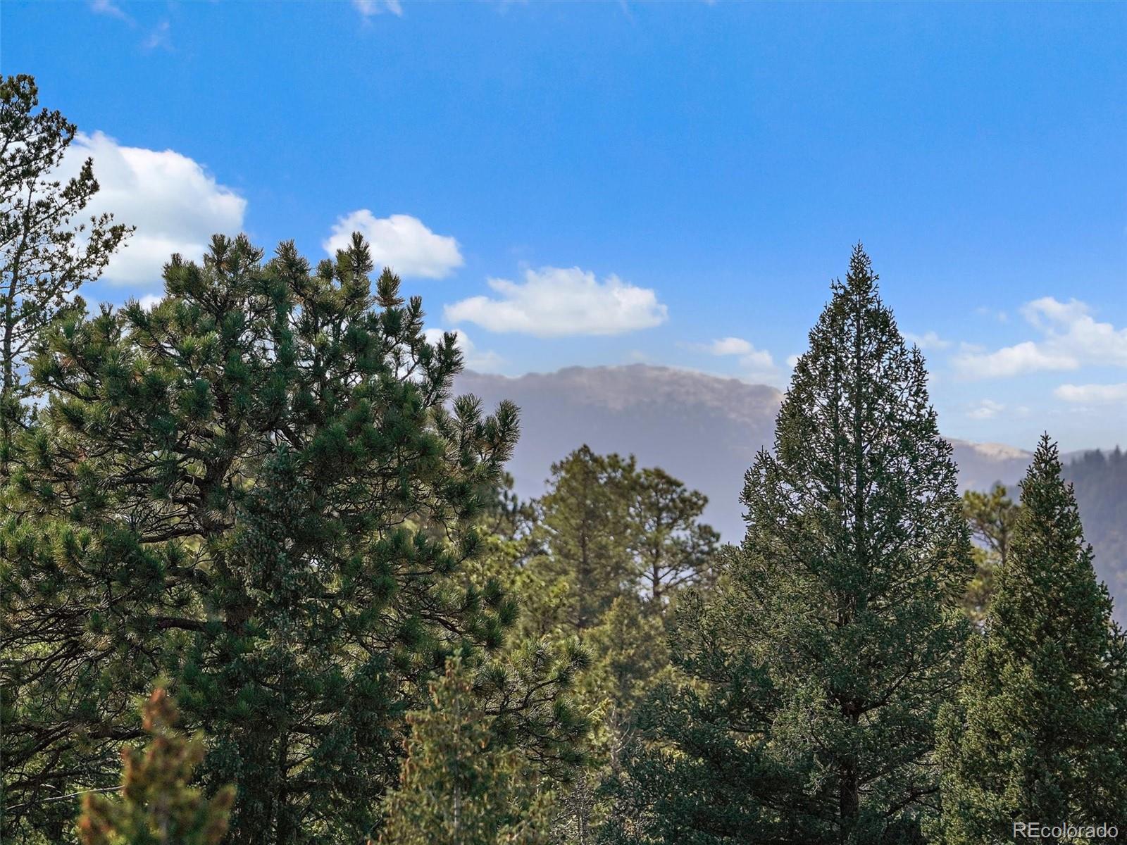 33884 Bergen View Trail Evergreen CO 80439
