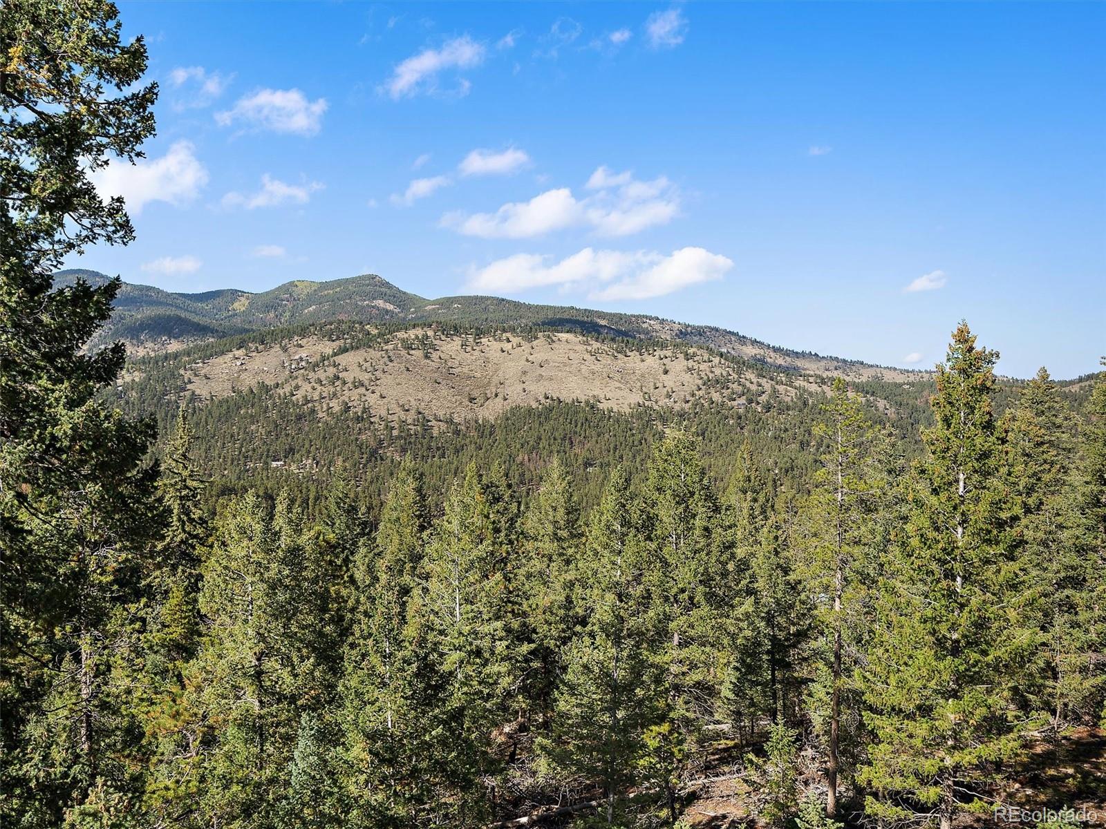 33884 Bergen View Trail Evergreen CO 80439